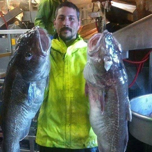 Meet your Posher, David - Picture 1 of 1